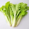 毛毛菜 300g 商品缩略图0
