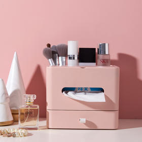 【多功能收纳+镜子+纸巾盒】家用客厅餐厅茶几纸巾盒 简约可爱化妆品收纳杂物整理盒