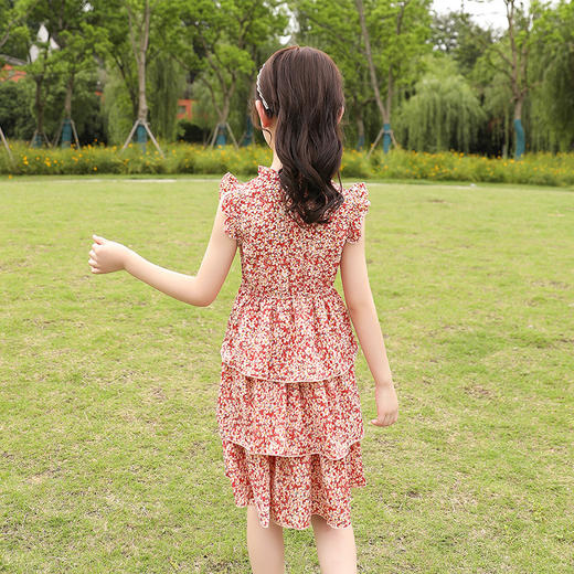 DY-1695女童连衣裙韩版大童夏季裙子童装儿童夏装女孩雪纺碎花裙 商品图1