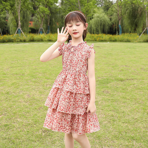 DY-1695女童连衣裙韩版大童夏季裙子童装儿童夏装女孩雪纺碎花裙 商品图3