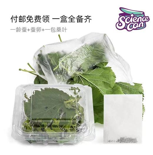 科学罐头乌龟蛋蚕宝宝 商品图3