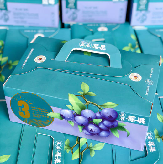 【带枝蓝莓】枝冠 带枝蓝莓，口感纯甜，果粉充足，富含大量花青素 保护眼睛，手机党和小朋友最爱！ 商品图9