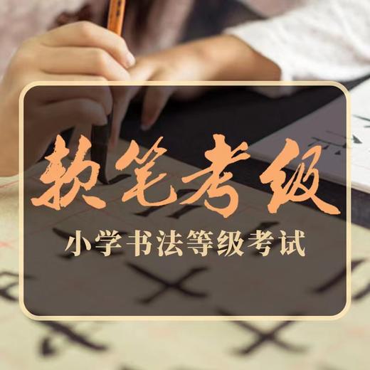 名师教学 软笔考级课 小学五年级书法等级考试 一学就会，轻松过关 商品图0
