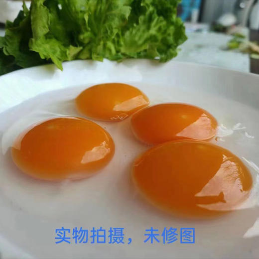 有机艾草土鸭蛋（鲜蛋）20枚/盒 商品图13