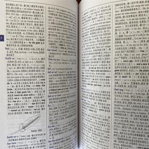 (仓发) 新英汉汉英词典 双色缩印修订版 英语字典词典工具书小学初中高中学生实用牛津词典大学四六级/商务印书馆国际有限公司/9787517601838 商品图5