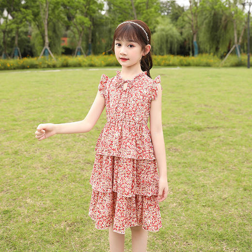 DY-1695女童连衣裙韩版大童夏季裙子童装儿童夏装女孩雪纺碎花裙 商品图2