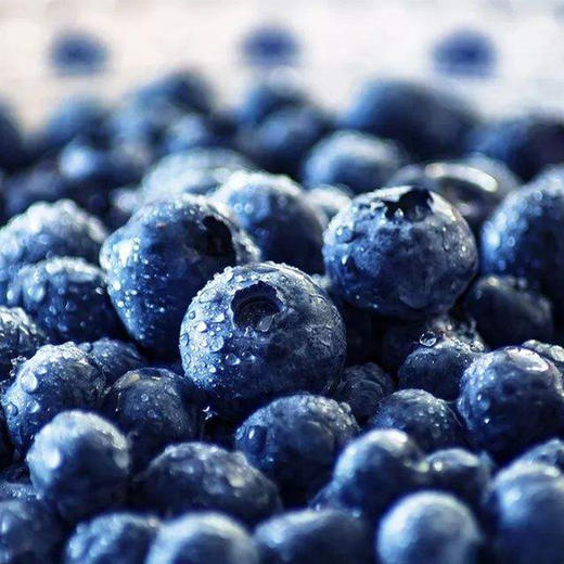 有机蓝莓125g（有机水果、连续十年中国有机认证） 商品图2