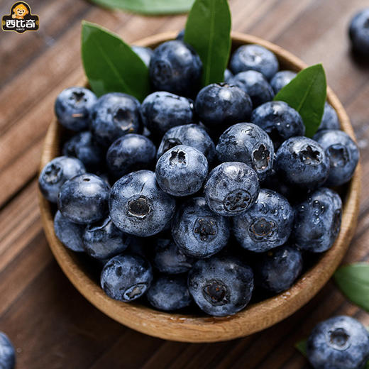 国产蓝莓500g/盒  小身材/大营养 商品图1