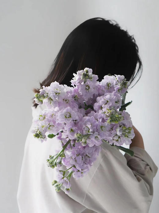 紫罗兰（5枝） 商品图1