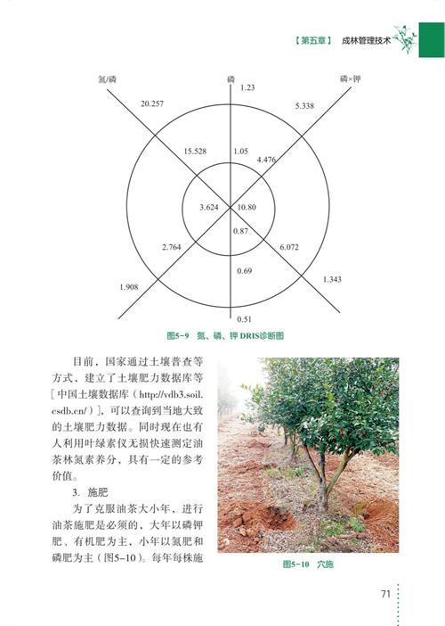 三华油茶栽培实用技术 商品图9