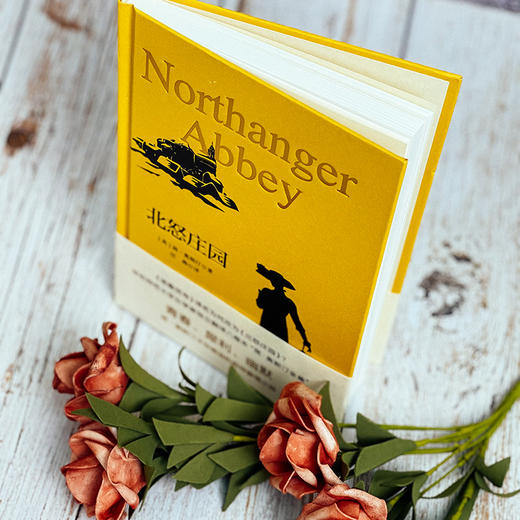 北怒庄园  简·奥斯汀全集 哥特爱情小说 诺桑觉寺 独角兽文库 典雅精装 外国文学 商品图2
