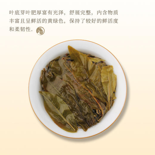一球2022年百山百味·麻黑普洱生茶饼200g 商品图3