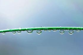  这个天气汗多、异味重？身体这处可能出问题了，别忽视 