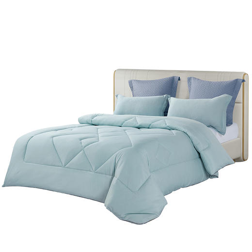 博洋博雅清新被—被芯 商品图2