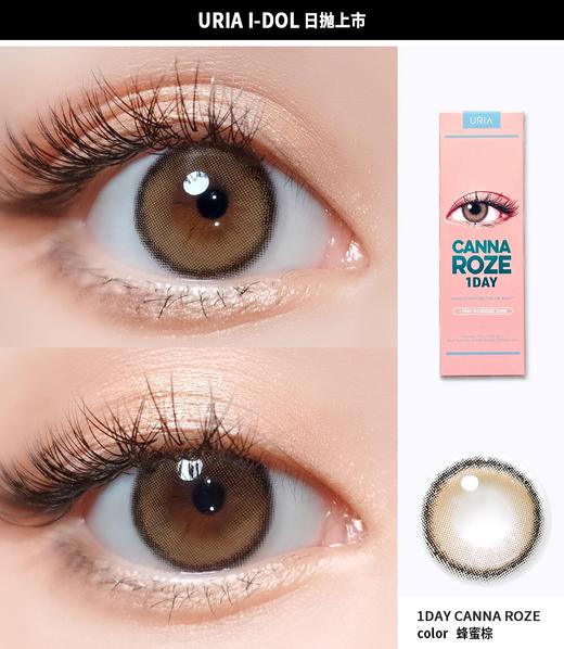 韩国正版idol旗下·beige蜂蜜棕/半年抛 商品图4