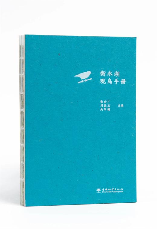 衡水湖观鸟手册(精) 张余广//刘振杰//吴军梅 1531 中国林业出版社 商品图0