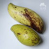 生态芒果（成熟度较高，只发广东） | 绿家自产*Eco-mango | Self-production 商品缩略图4