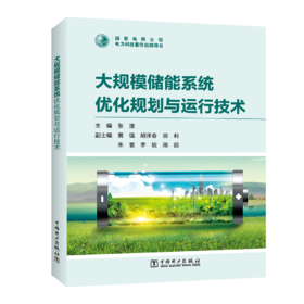 大规模储能系统优化规划与运行技术