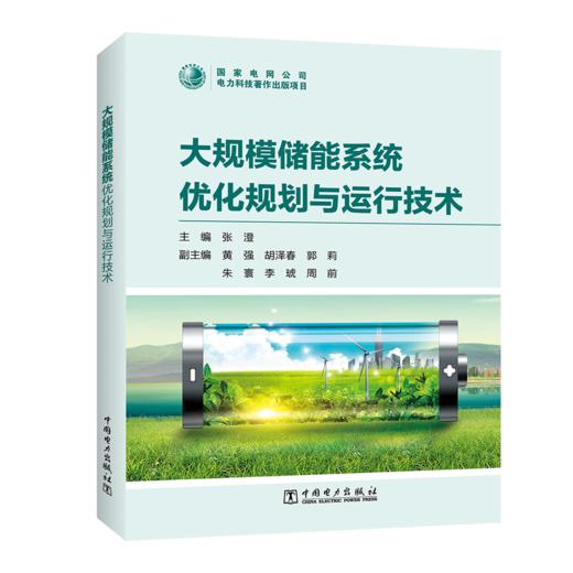 大规模储能系统优化规划与运行技术 商品图0