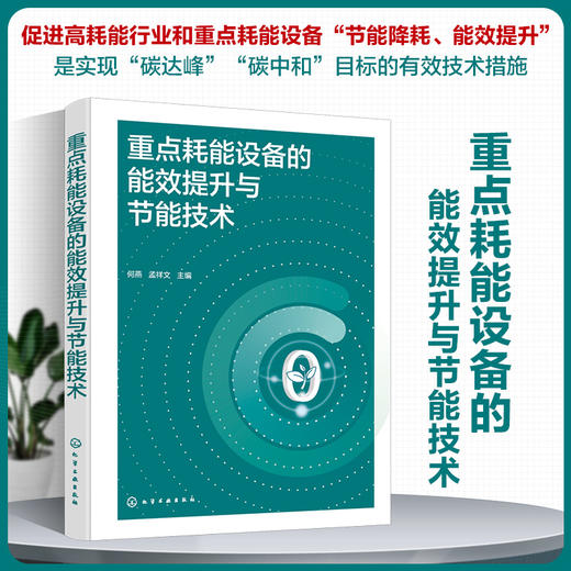 重点耗能设备的能效提升与节能技术 商品图0