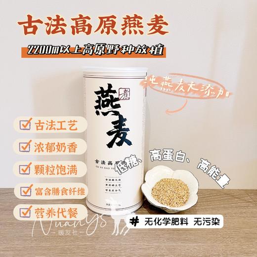 【香浓营养 亢寒亢饥 出米量大 古法工艺 高原野种放值】古法高原燕麦 1kg 内照堂 商品图1