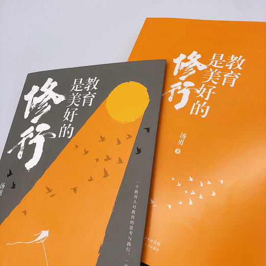 教育是美好的修行   教育是慢的艺术 也是静的艺术 一个教育人对教育的思考与践行  汤勇著  长江文艺出版社  正版 商品图6