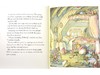 A Year in Brambly Hedge 野蔷薇村的故事 限量-四十周年纪念版 原版进口绘本 英语启蒙 商品缩略图2