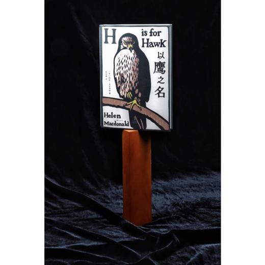 以鹰之名 商品图1