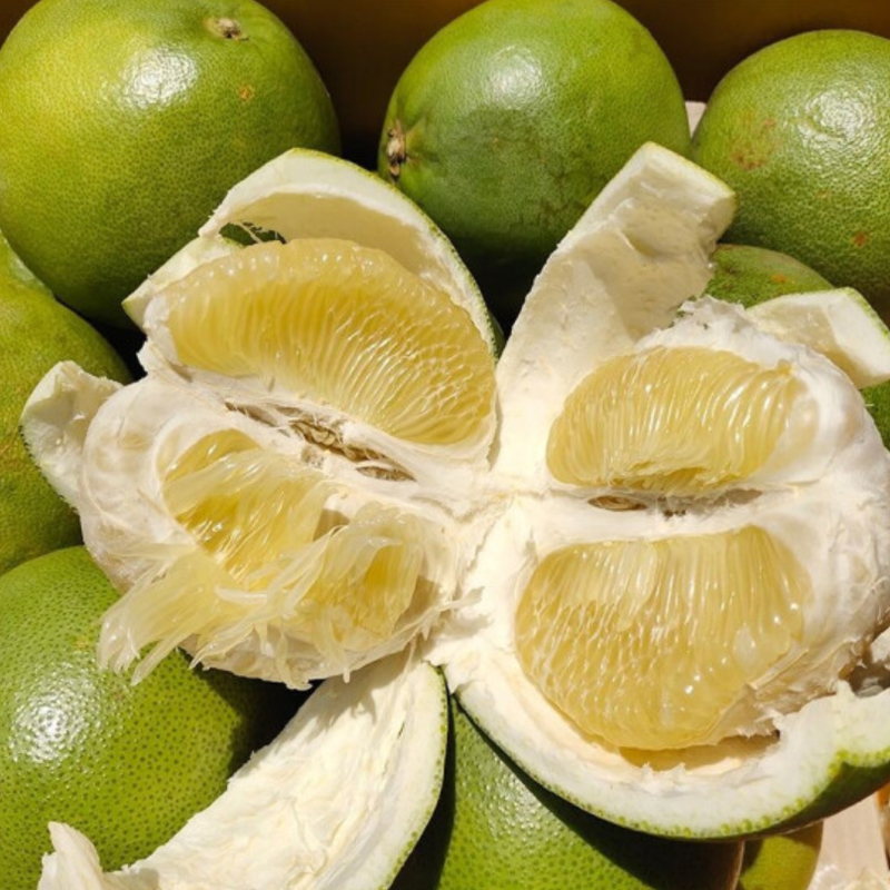 独立包装泰国白蜜柚大果1只装332斤2只装664斤份