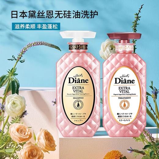 黛丝恩致美 摩洛哥油洗发水护发素 头皮赋活 450ml 商品图0