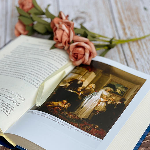 家庭生活秘史：公众、私人与知识的分类 英国家庭变迁史 商品图5