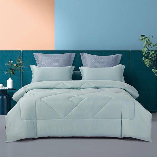 博洋博雅清新被—被芯 商品图0