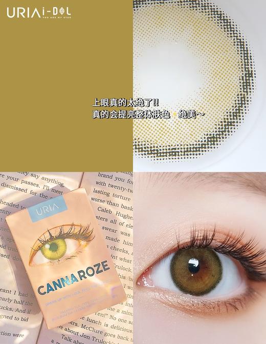 韩国正版idol旗下·Olive橄榄绿/半年抛 商品图4