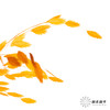 永生花材 | 小盼草橙色 商品缩略图3