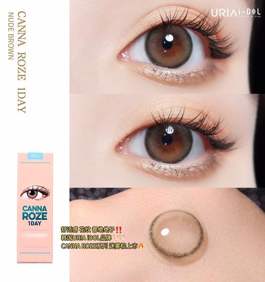 韩国正版idol旗下日抛·beige蜂蜜棕10p/盒 商品图1