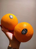 西班牙🇪🇸BOLLO宝露橙🍊，被誉为水果中的艺术品，超水嫩、完美化渣，甜度高，橙味浓 商品缩略图8