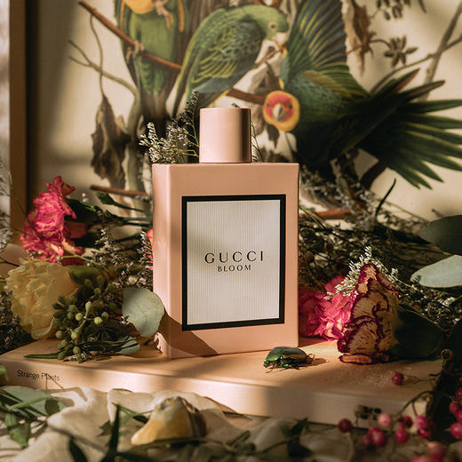 【999任选3件】GUCCI古驰bloom花悦绽放女士香水30ml 清新持久迷人花香晚香玉 茉莉香型 生日礼物送女友 节日送礼【CDF】 商品图1