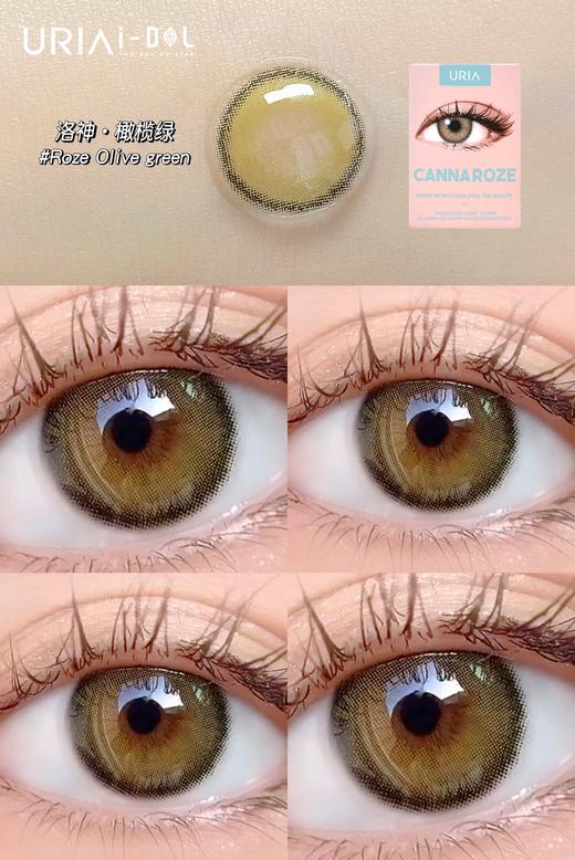 韩国正版idol旗下·Olive橄榄绿/半年抛 商品图3