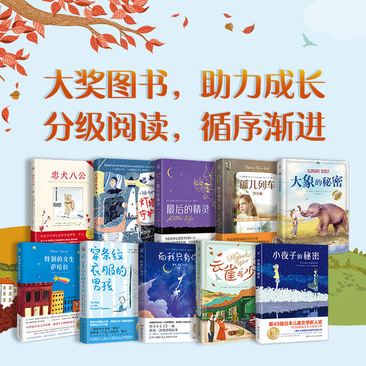 国际儿童文学经典书系（全10册） 商品图3