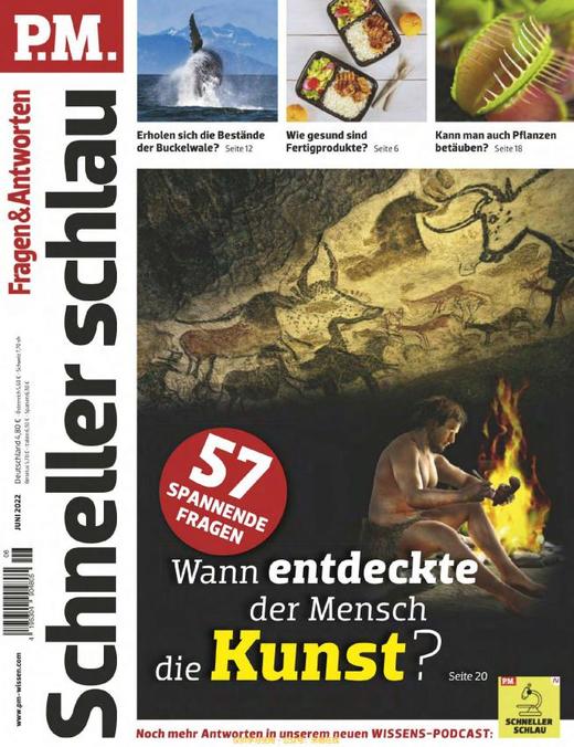 P.M. Fragen & Antworten - 2022.06 商品图0