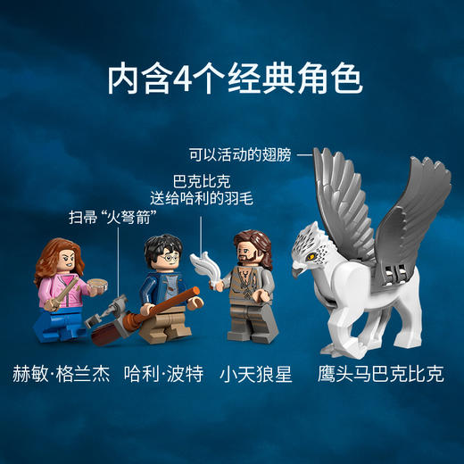 J乐高哈利波特霍格沃茨庭院：营救小天狼星76401 商品图4