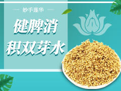 健脾消积双芽水 商品图0