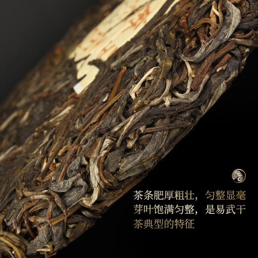 一球2022年百山百味·麻黑普洱生茶饼200g 商品图1
