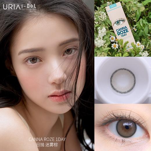 韩国正版idol旗下日抛·beige蜂蜜棕10p/盒 商品图2