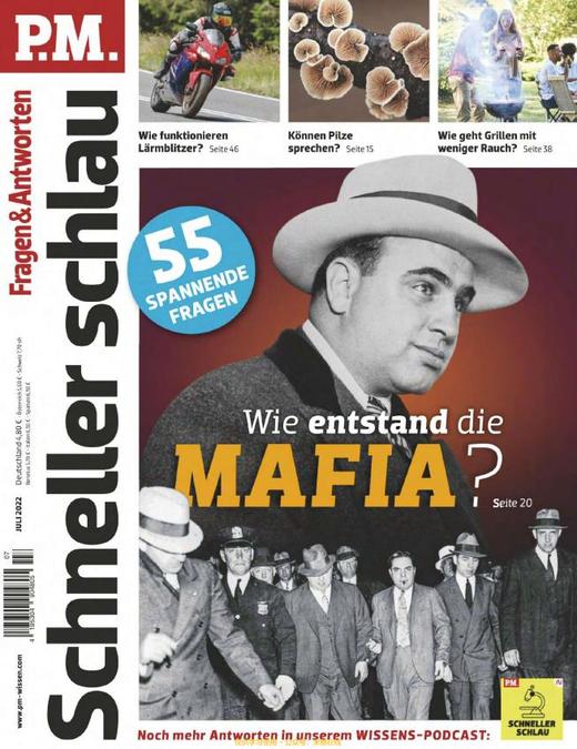 P.M. Fragen & Antworten - 2022.07 商品图0