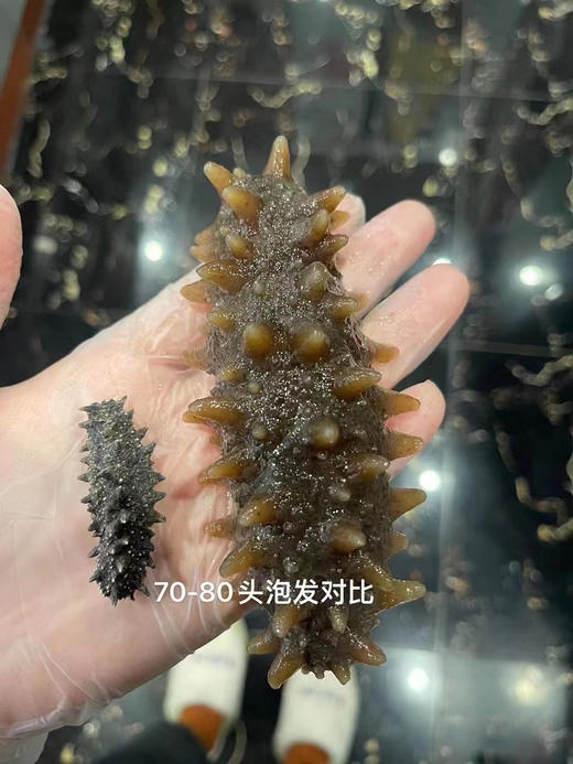 关东参 商品图3