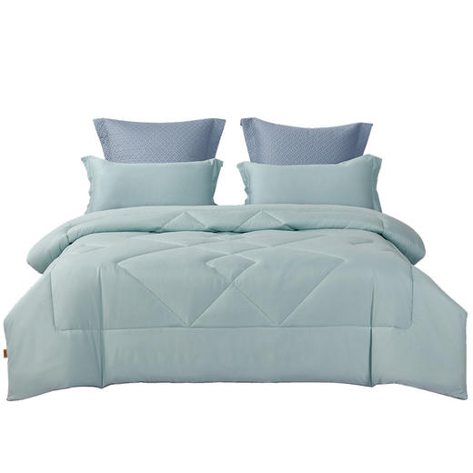 博洋博雅清新被—被芯 商品图1