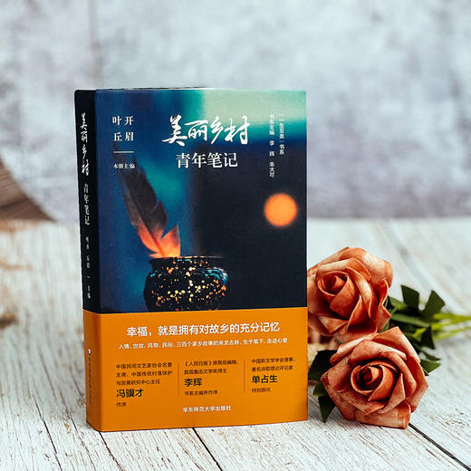 美丽乡村青年笔记 叶开 丘眉 乡土文化 乡愁 散文随笔 商品图3