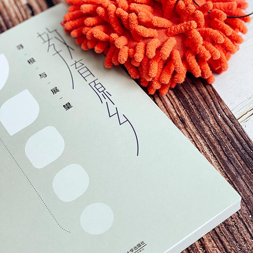 【官方现货】严华银教育著作系列2册 大夏书系 教育理论 商品图5