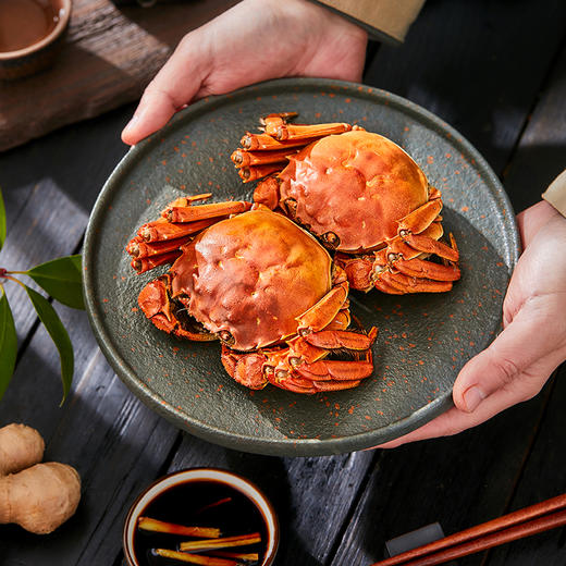 礼券邂逅苏蟹大闸蟹488型礼券公蟹30两4只母蟹20两4只